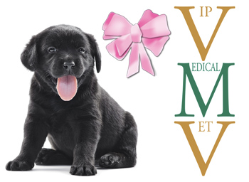nasce Vip Medicl Vet