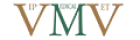 vmv