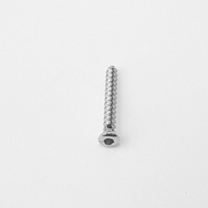 VITE SPONGIOSA DM. 3,5 - L. 28 MM