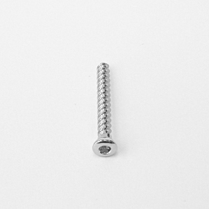 VITE SPONGIOSA DM. 3,5 - L. 30 MM