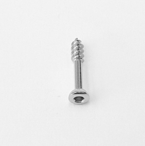 VITE SPONGIOSA  DM. 4,00 - L. 22 MM SHORT