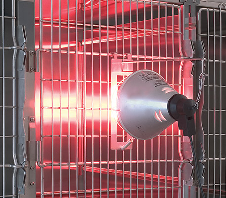 SUPPORTO LAMPADA PER GABBIA IN E ACCIAIO INOX