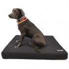 letto-ortopedico-per-cani_50x50