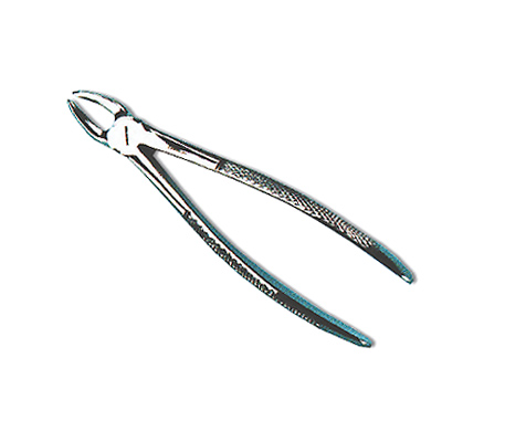 Pinze denti per cani dritta 16 CM